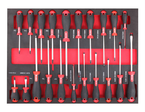 T-F1ETR26 21 pc SCREWDRIVER SET FULL DRAWER FIXMAN